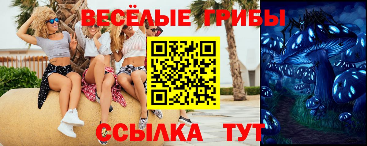 Галлюциногенные грибы Psilocybine cubensis Анжеро-Судженск