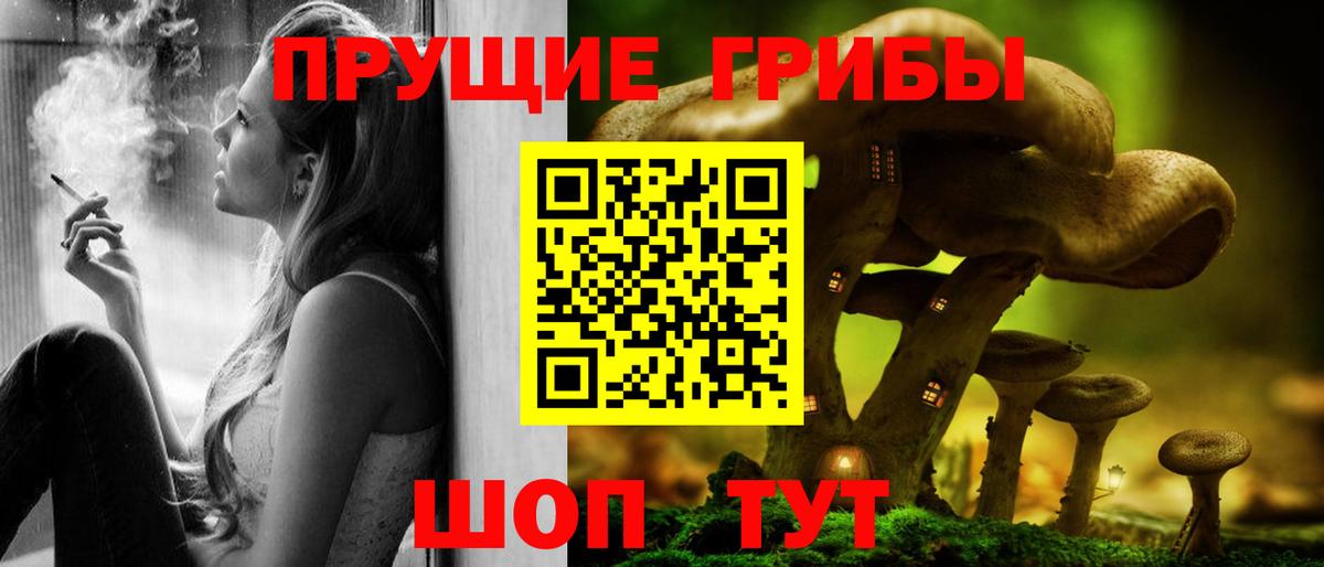 Псилоцибиновые грибы прущие грибы  Вход с VPN  Псилоцибиновые грибы Psilocybine cubensis  Анжеро-Судженск 